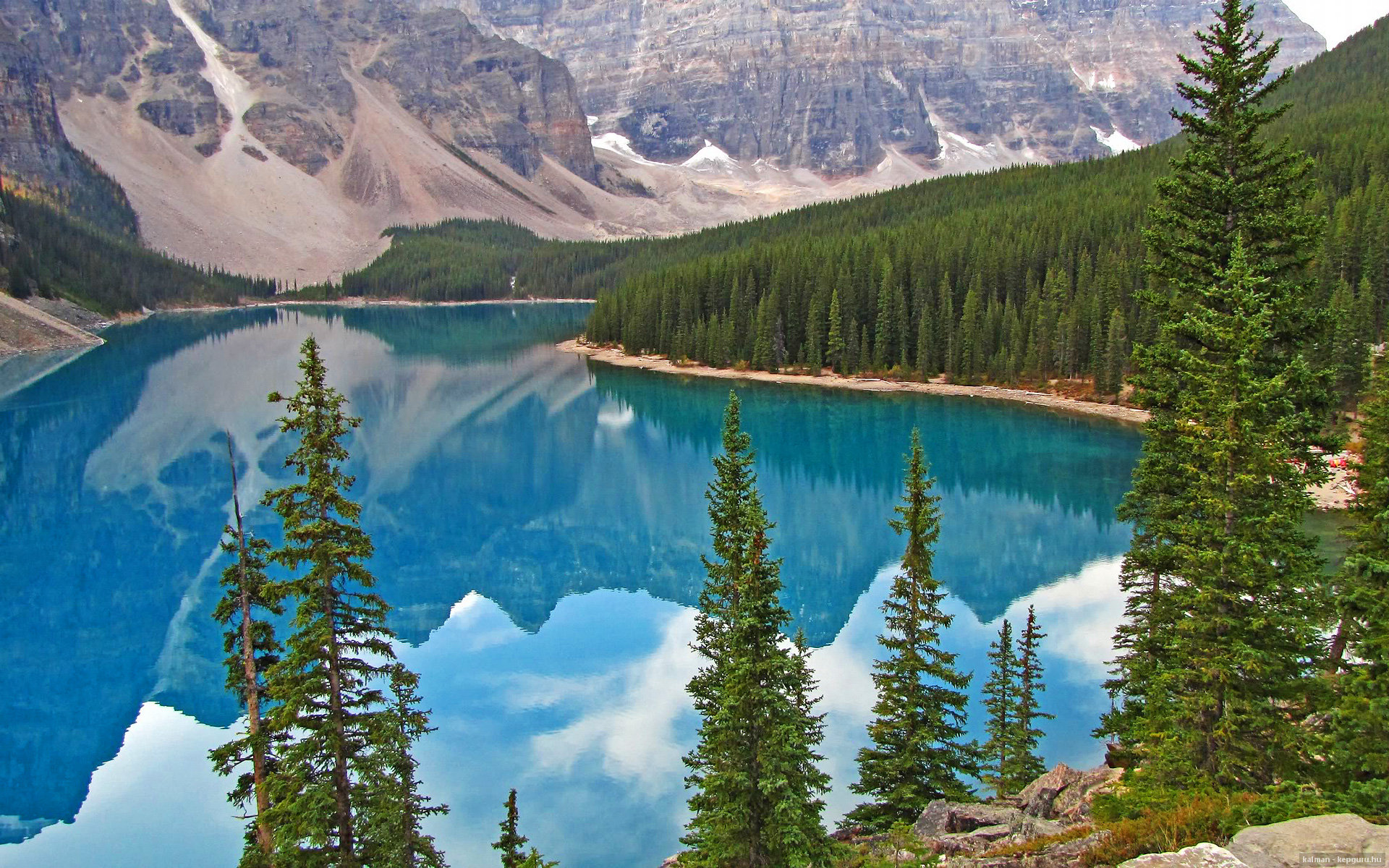 奥运周期关键战之夜,塔图姆冠军级表现淬火出炉