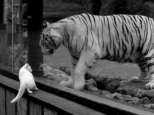 废墟之上，血色残阳，当布克在洛杉矶的硝烟中刻下巨星碑文