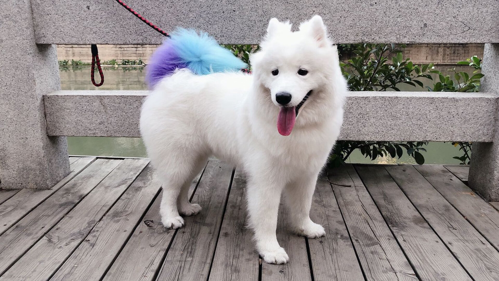 当火箭燃料点燃辽宁防线，霍勒迪的满分表演与跨联赛较量的意义