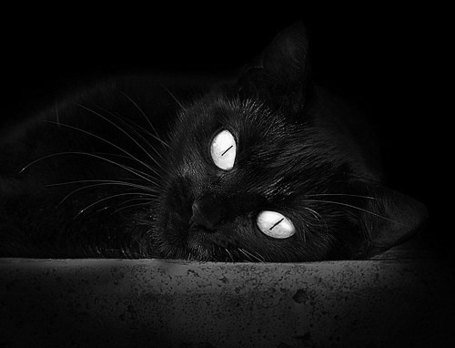 葡萄牙速胜阿根廷友谊赛，萨拉赫英超争冠关键战接管比赛