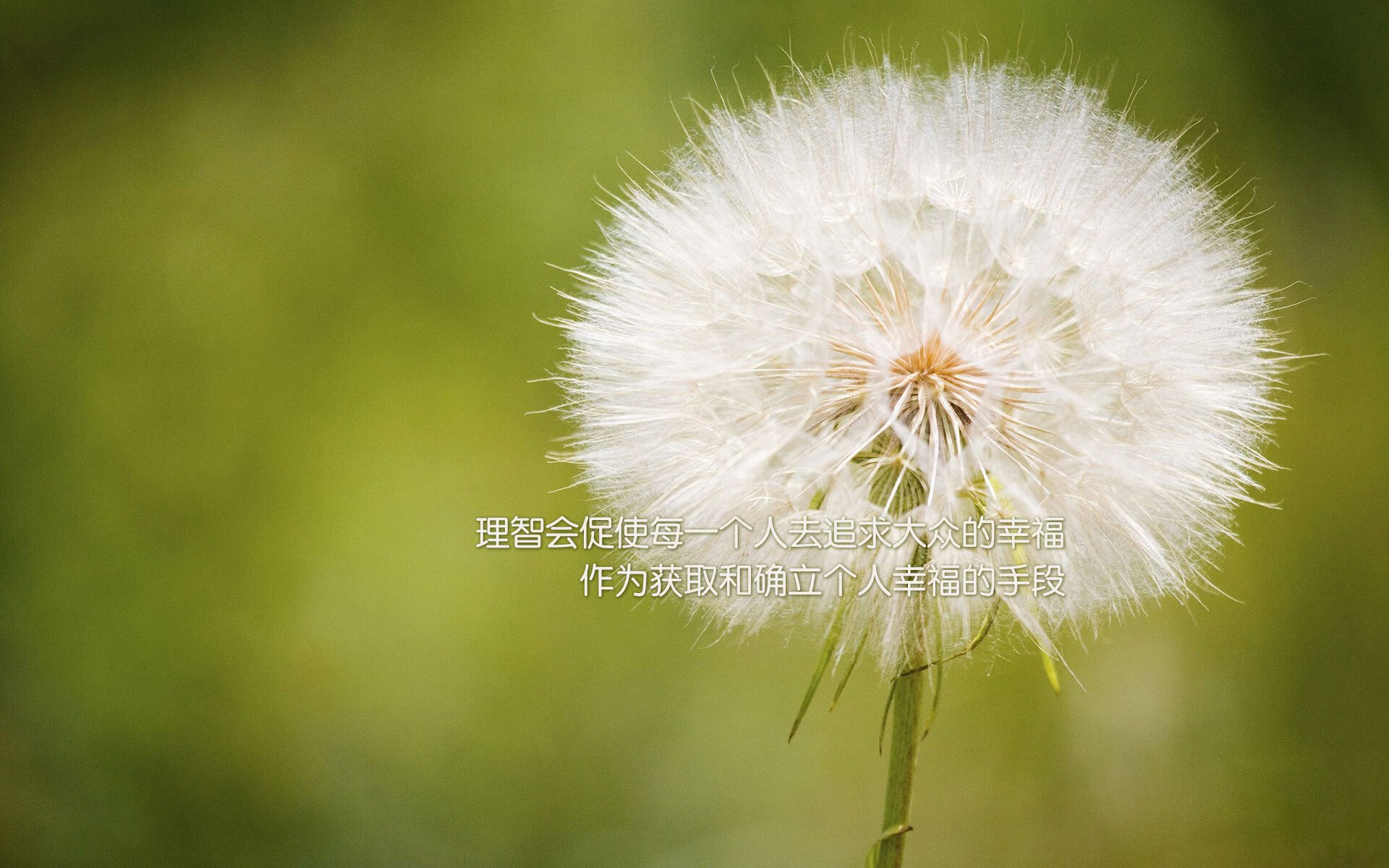 开云体育app-欧冠决赛之夜，布伦森在篮球场书写单骑救主的史诗