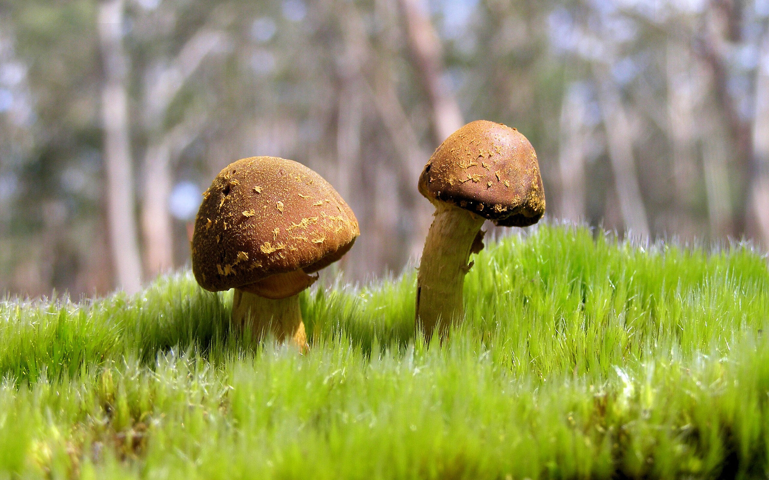 开云体育2026-凡人弑神！拉梅洛致命一击，热火浇灭勇士宇宙级武器