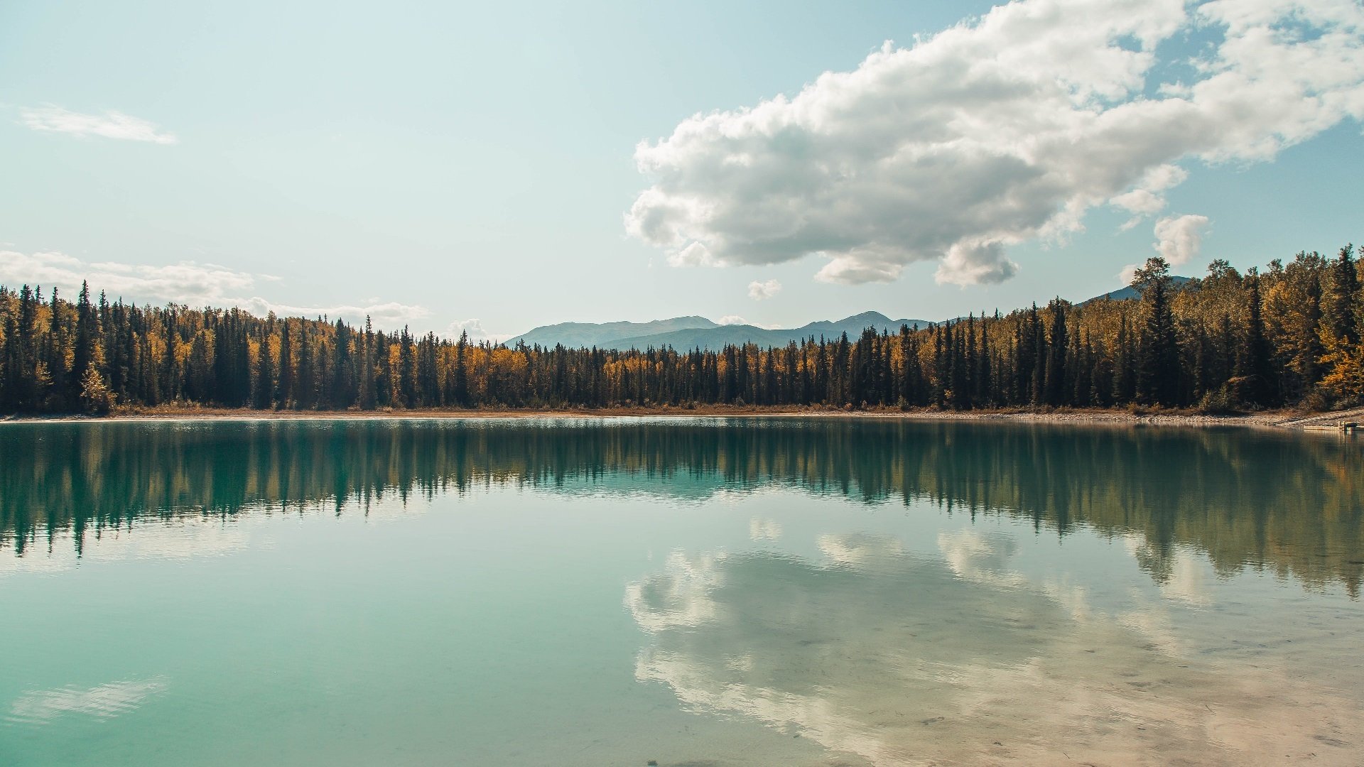 开云体育2026-巨星之光，三笘薰引领加拿大绝杀罗马的辉煌之夜