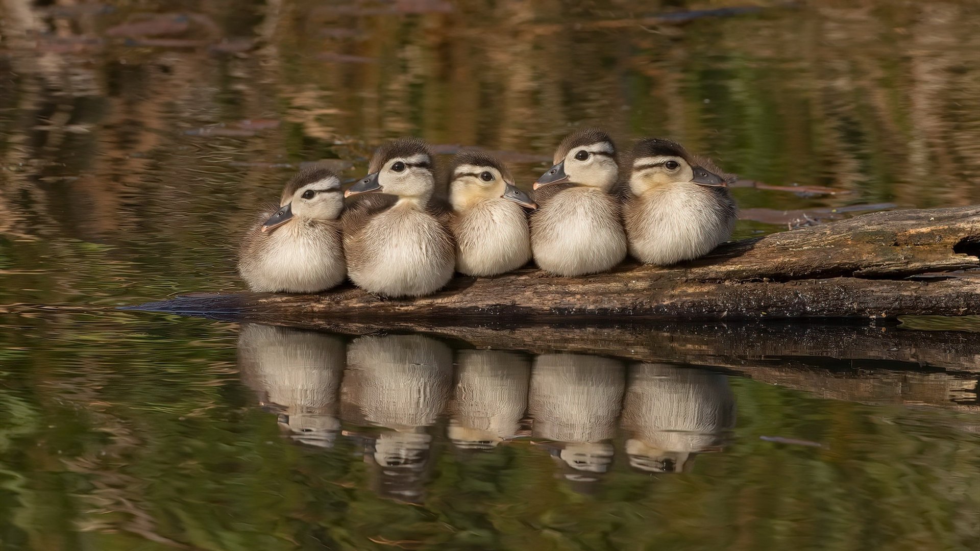 开云体育官网-当南美黑马遇上欧洲精英，一场重写格局的唯一之战
