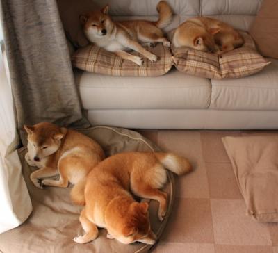 跨界战争！恩佐掌控时空法则，摩纳哥用血脉压制一波流带走哥斯达黎加