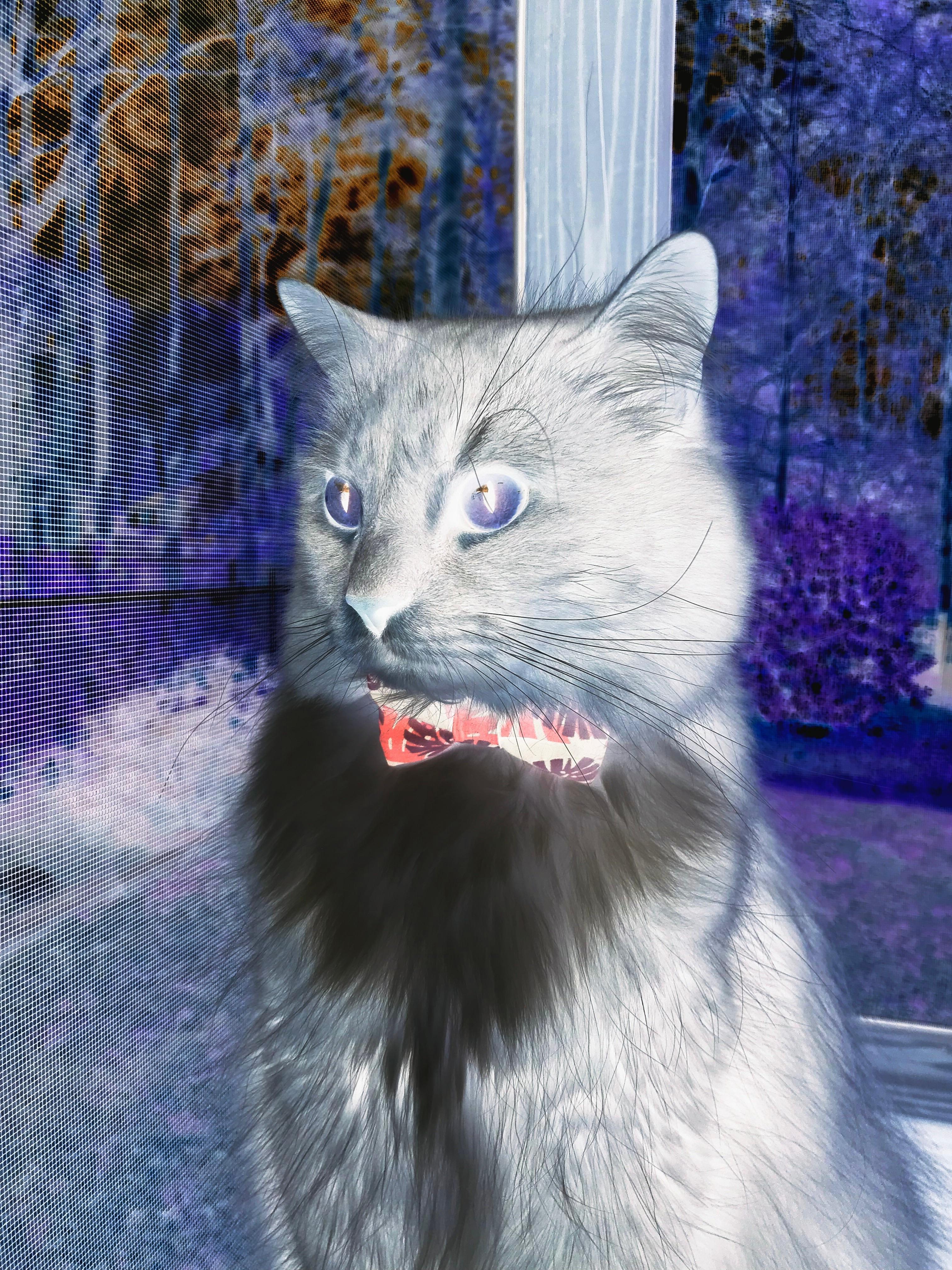 开云体育2026-活塞勇士，约基奇如何以机械完美统治赛场