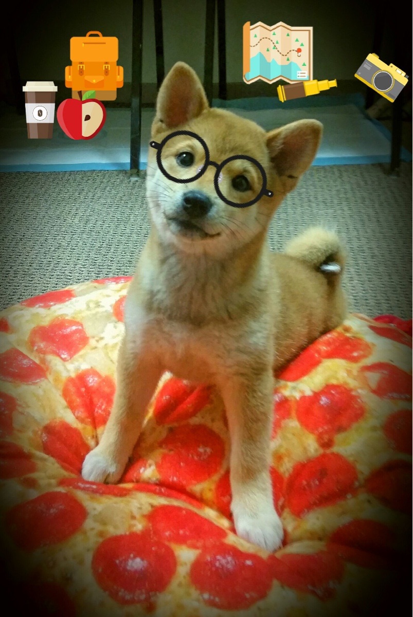 文班亚马关键节点连斩七分,火箭节奏掌控击沉快船