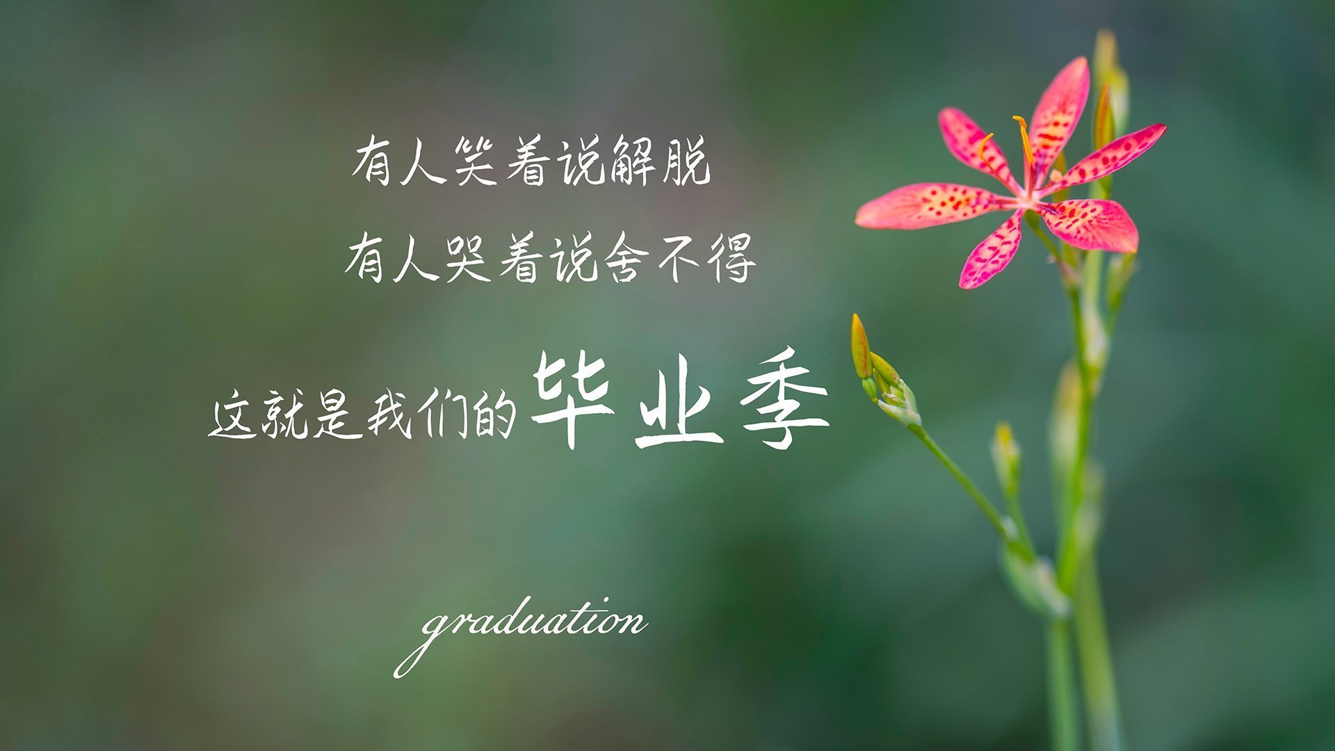 西决式生死战,伊朗全面压制摩纳哥的地缘战略博弈