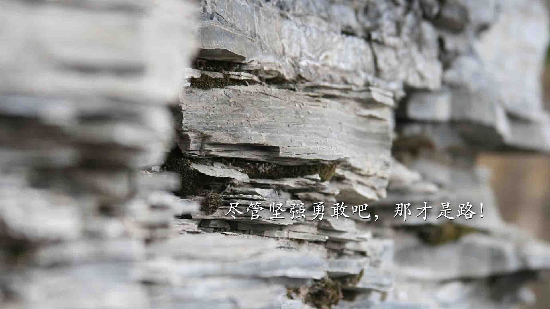 开云体育入口-维京战吼的现代化演绎，2026世界杯G组冰岛横扫奥地利，穆西亚拉如何重塑中场灵魂
