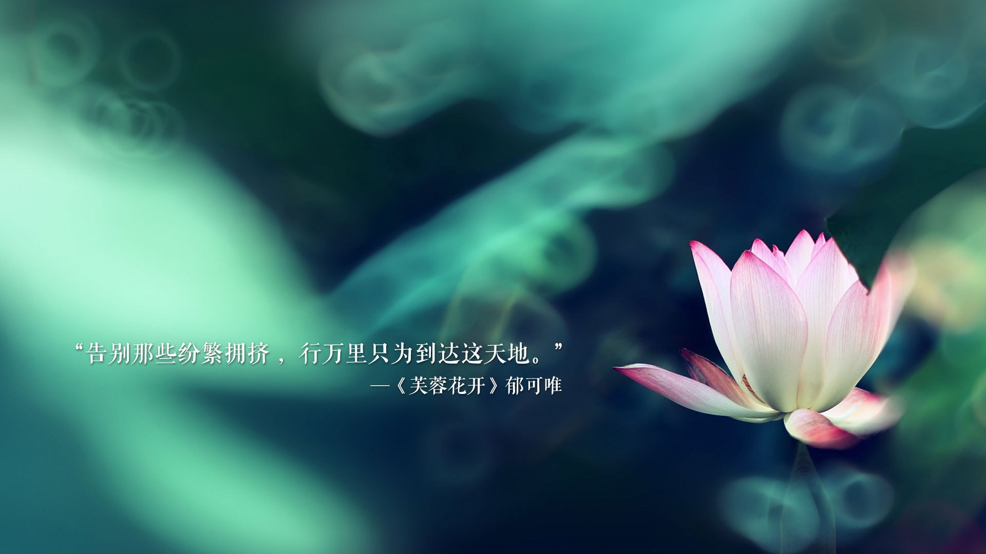 高卢雄鸡的精密齿轮,当绝对控球遇上绝望奔跑,法国如何将H组首战变为战术教案