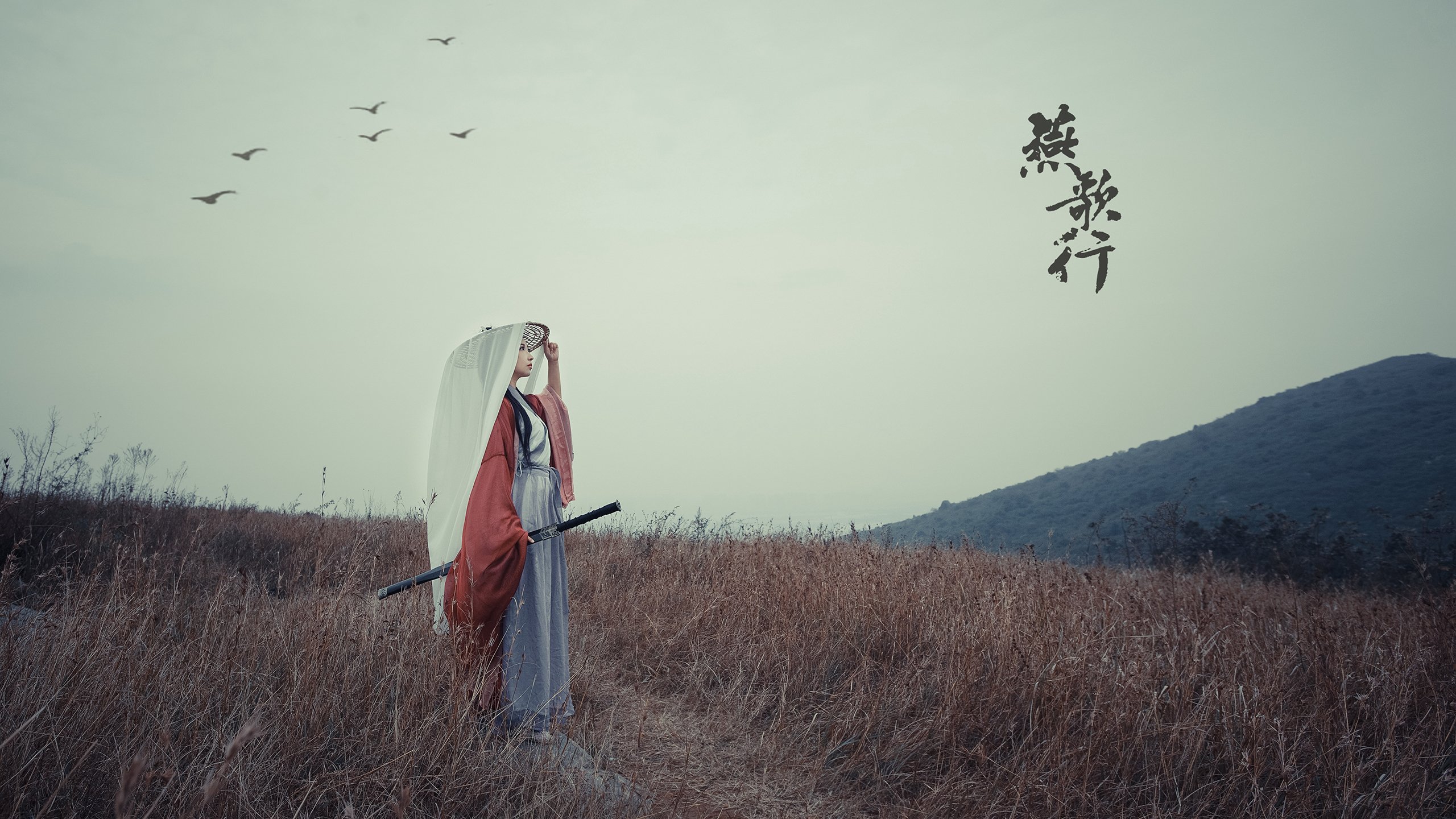 (三个备选,供你选择)